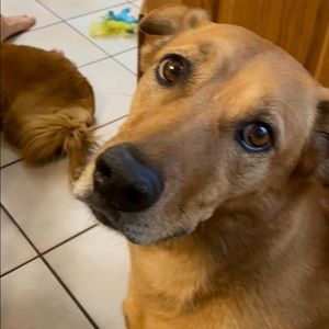 Meet your Posher, Cara